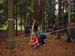 38_cesta_kmenu_s_kmeny