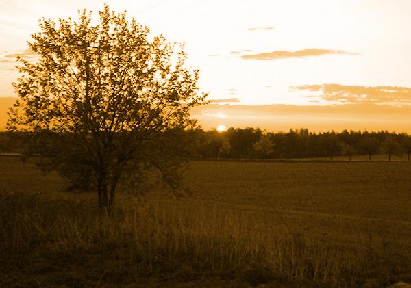13_rozbresk_u_uhelne