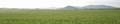 15_ranni_panorama