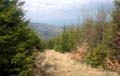 36_pruhled